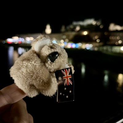 Koala zur IDW 2025 in Brisbane